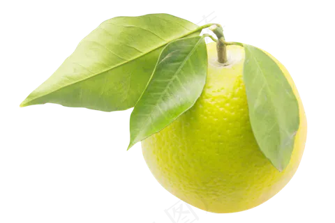 水果青色橙子