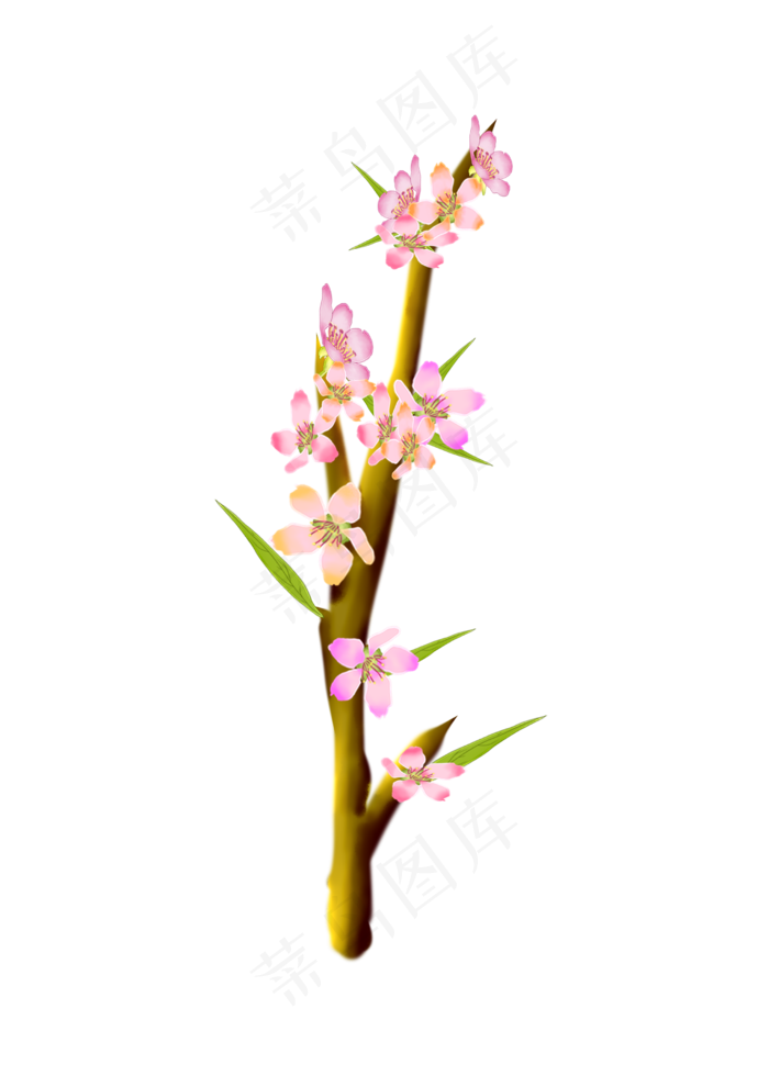 樱花花朵植物插画