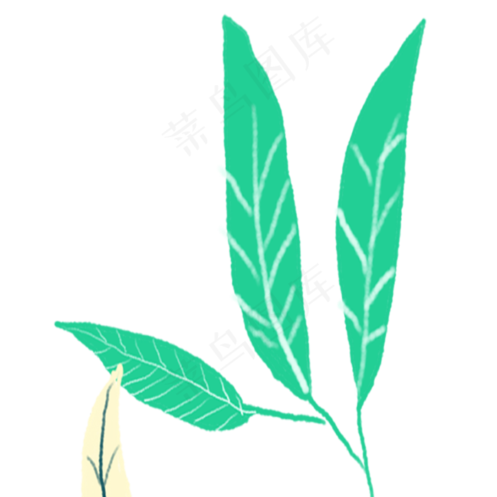 小草春季自然植物