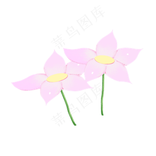 荷花荷叶png素材