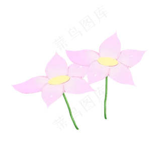 荷花荷叶png素材