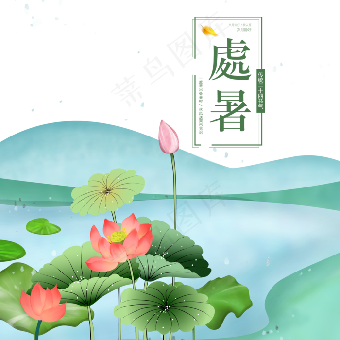 处暑荷花夏天景色