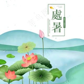 处暑荷花夏天景色