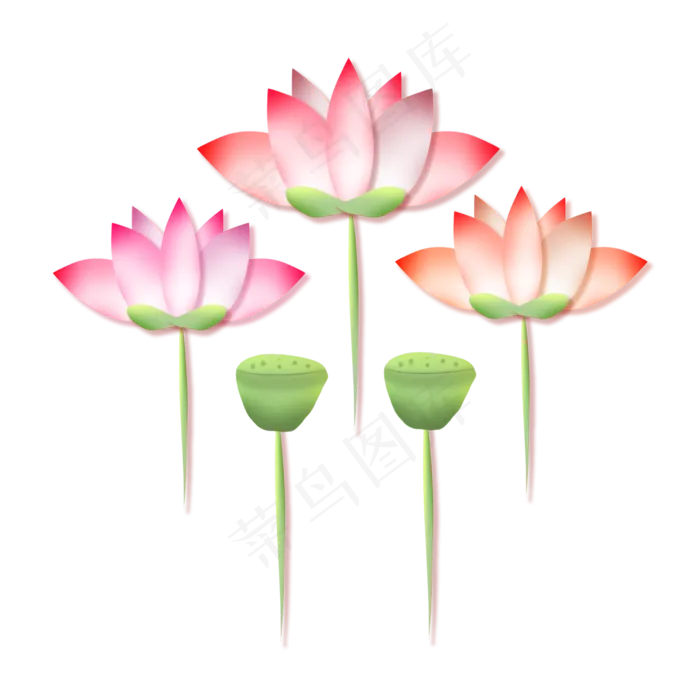 剪纸风荷花素材下载,免抠元素(2000*2000px 300 dpi )psd模版下载