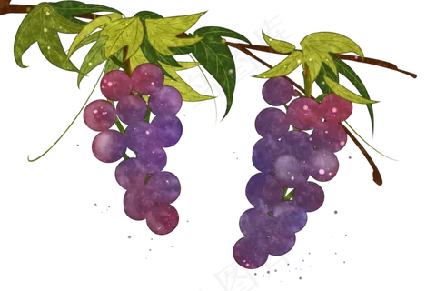 紫葡萄水果甜蜜晶莹PNG鲜果