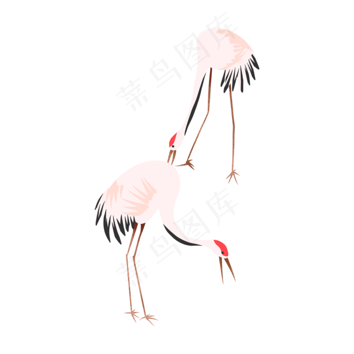 正在找吃的两只仙鹤(2048X2048(DPI:132))psd模版下载