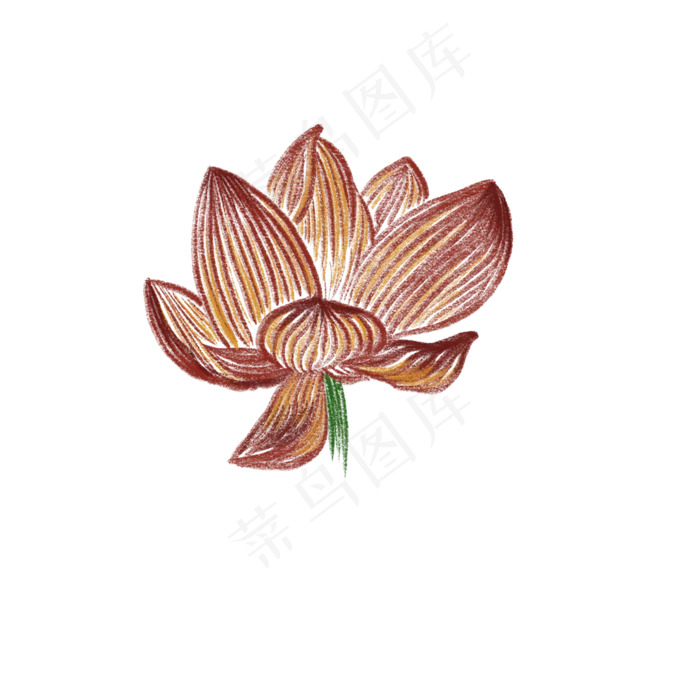 创意插图免抠荷花单株插图(2000X2000(DPI:132))psd模版下载