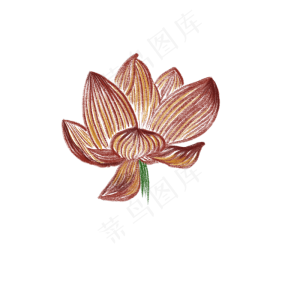 创意插图免抠荷花单株插图