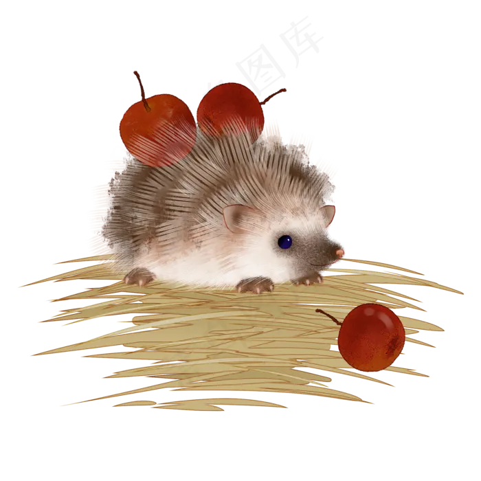 刺猬红果秋天动物,免抠元素(2000X2000(DPI:300))psd模版下载