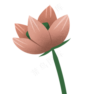 花朵卡通荷花植物