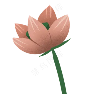 花朵卡通荷花植物