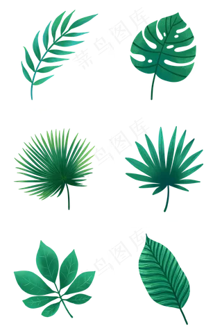 各种绿色叶子组图PNG免抠素材