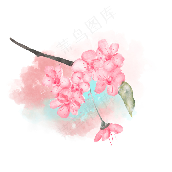水彩绽放枝头的桃花(2000X2000(DPI:300))psd模版下载
