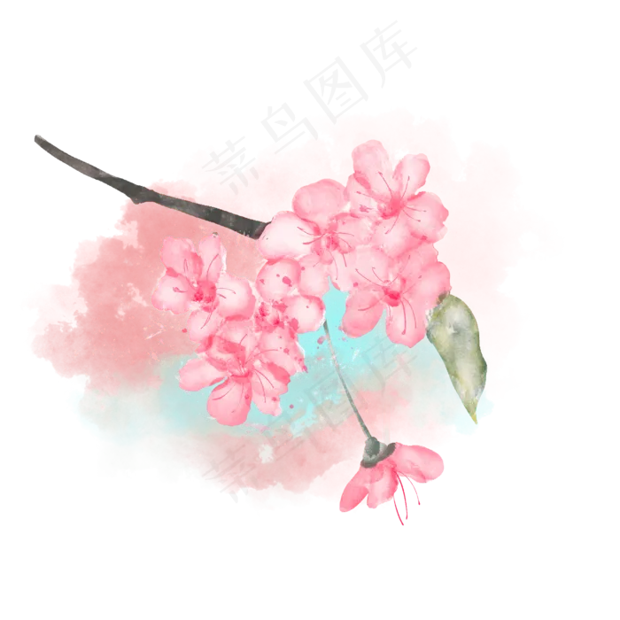 水彩绽放枝头的桃花(2000X2000(DPI:300))psd模版下载