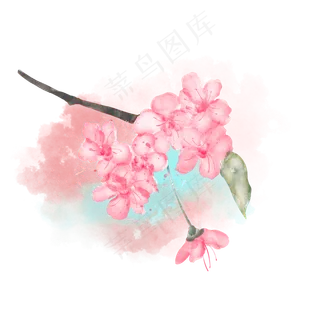 水彩绽放枝头的桃花