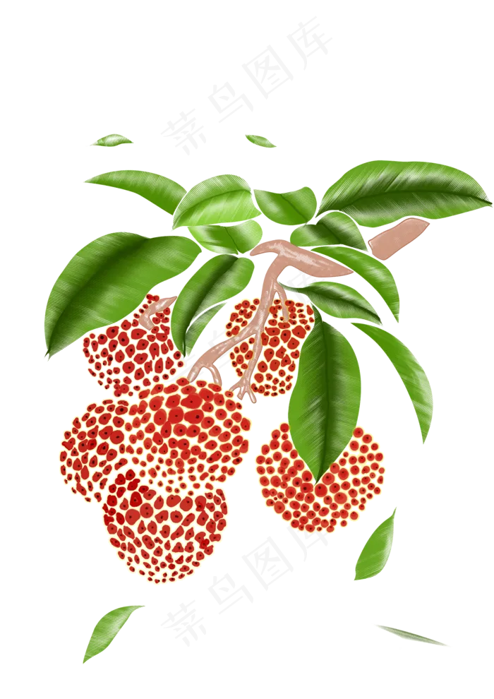 新鲜美味多汁荔枝(2000X2829(DPI:300))psd模版下载