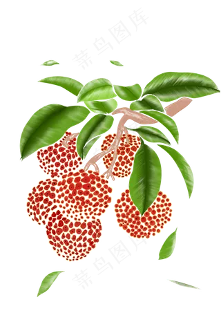 新鲜美味多汁荔枝