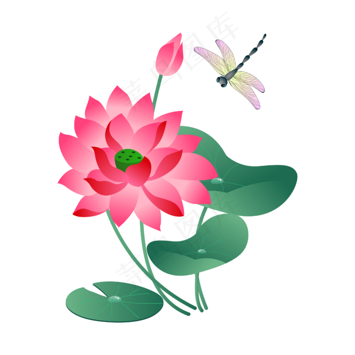 荷花池塘蜻蜓(4167*4167px 300 dpi )ai矢量模版下载