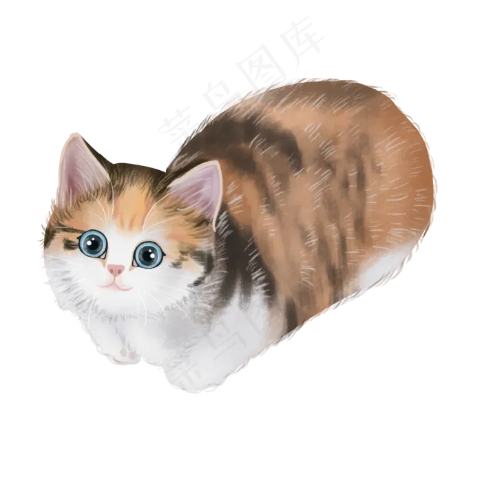 可爱宠物猫三花主子,免抠元素(3000*3000px 300 dpi )psd模版下载