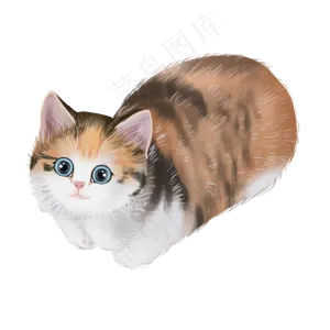 可爱宠物猫三花主子,免抠元素
