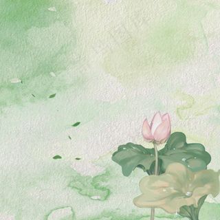 淡雅荷花纹理服装主图