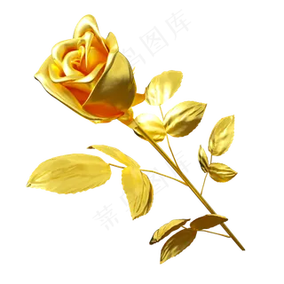 情人节二月十四金色玫瑰