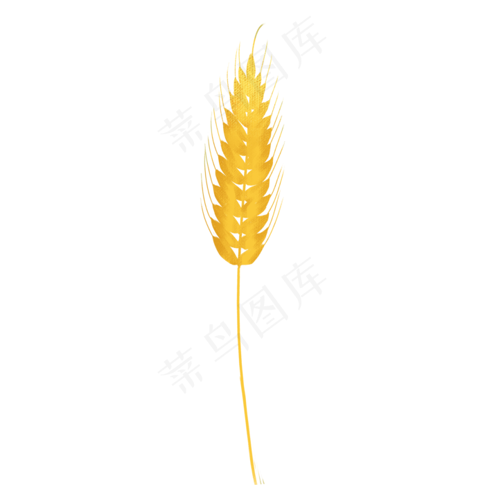 卡通黄色的麦子(2000X2000(DPI:300))psd模版下载