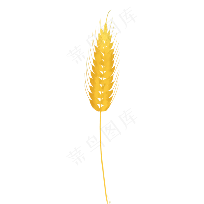 卡通黄色的麦子(2000X2000(DPI:300))psd模版下载