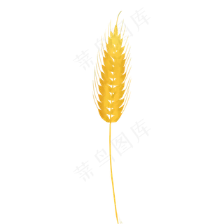 卡通黄色的麦子