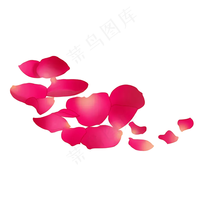 植物漂浮玫瑰花瓣插图(2000X2000(DPI:300))psd模版下载