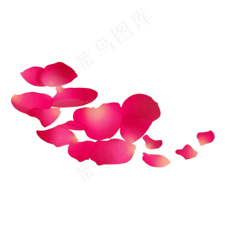 植物漂浮玫瑰花瓣插图