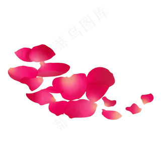 植物漂浮玫瑰花瓣插图 植物漂浮玫瑰花瓣插图