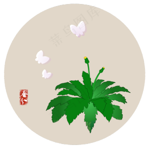 春菜粉蝶春分PNG素材,免抠元素