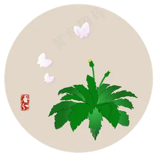 春菜粉蝶春分PNG素材,免抠元素 春菜粉蝶春分PNG素材,免抠元素