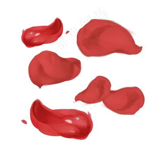 飘散玫瑰花瓣情人节