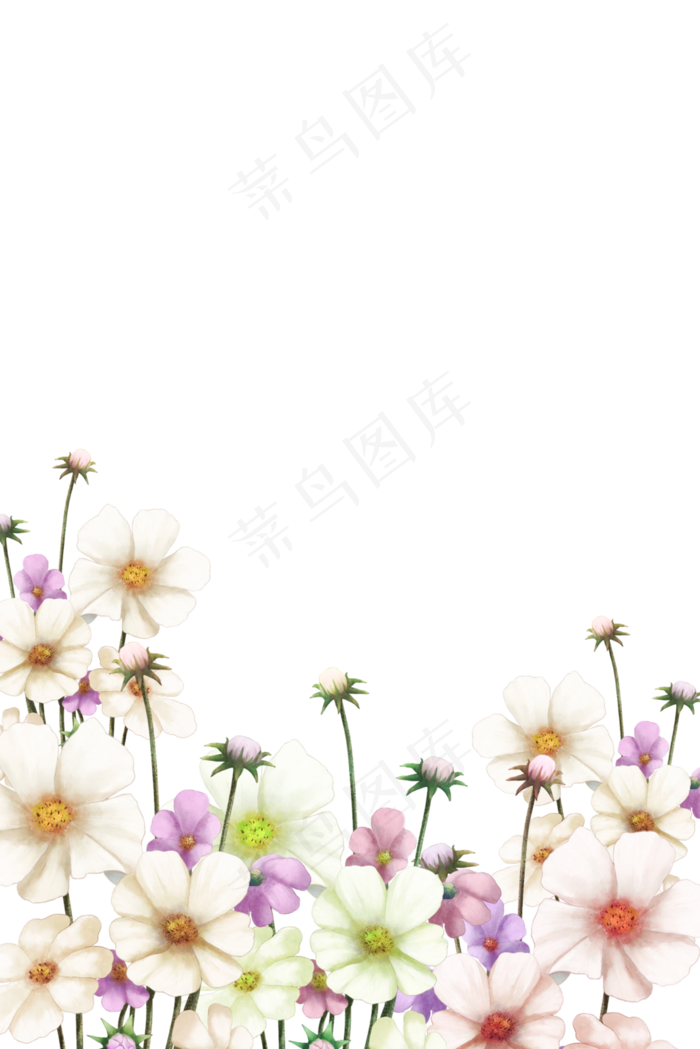 唯美格桑花古风花卉装饰边框,免抠元素(3545X5315(DPI:300))psd模版下载