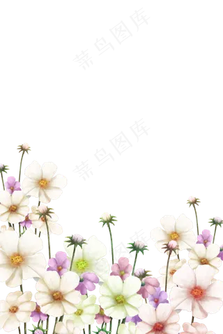 唯美格桑花古风花卉装饰边框,免抠元素