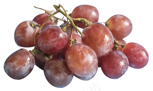 水果红缇 水果红缇