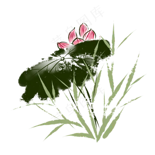 粉红色荷花荷叶组合装饰图案