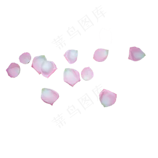 浪漫粉红色玫瑰花瓣