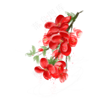 春季红色海棠花水彩手绘免抠PNG