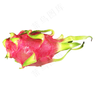 热带水果火龙果