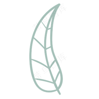 长长的叶子免抠图