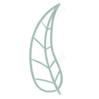 长长的叶子免抠图