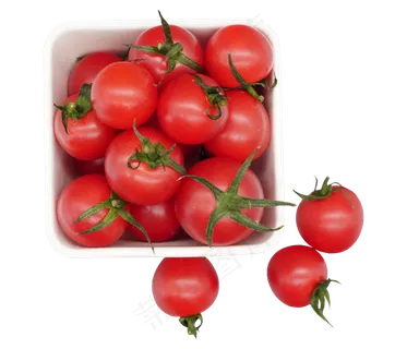 红色圣女果果实 红色圣女果果实