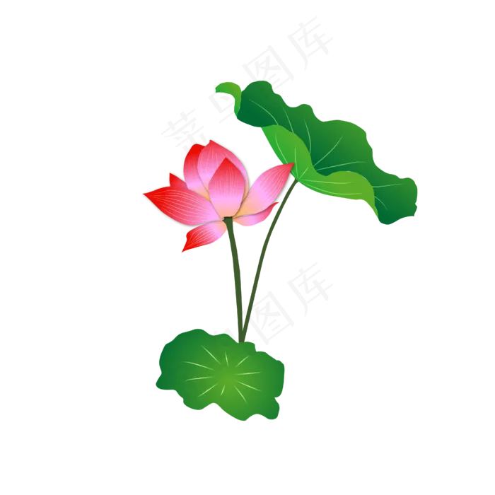 手绘卡通粉色莲花(4167*4167px 300 dpi )ai矢量模版下载