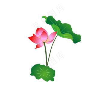 手绘卡通粉色莲花