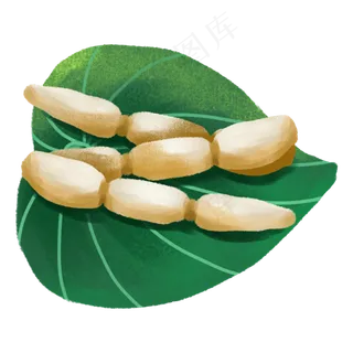 手绘美食原素材荷花果实之荷叶莲