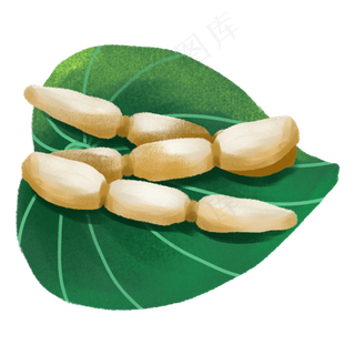 手绘美食原素材荷花果实之荷叶莲