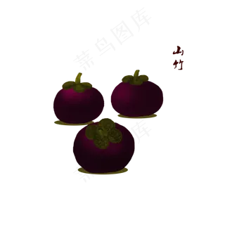 手绘山竹热带水果可商用元素